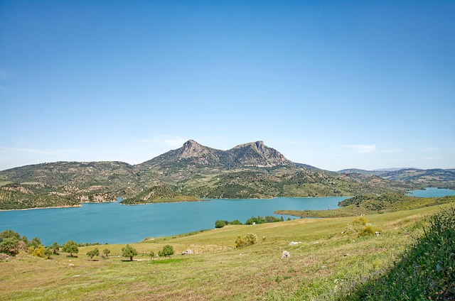 Espacio de trabajo en el hogar bien organizado con luz natural y plantas